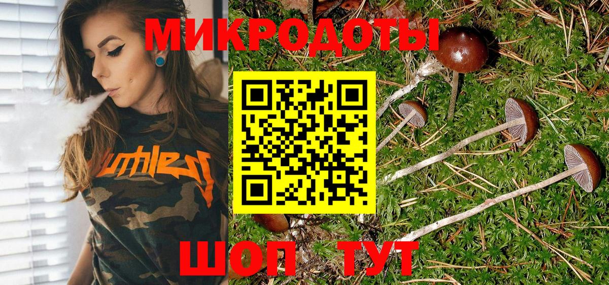 Псилоцибиновые грибы Psilocybe Касимов