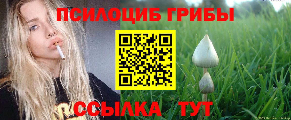 Галлюциногенные грибы прущие грибы  Вход с VPN  Касимов 